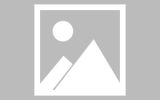 庄河新区景区网站建设（in art criticism,you must assume）